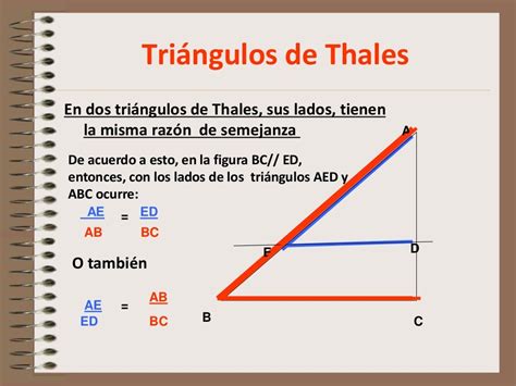 Actividad 1 Teorema De Thales