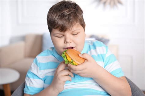 Obesidade Infantil Conhe A Suas Causas E Consequ Ncias Dr Le Nidas Silveira