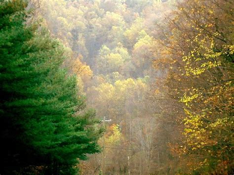 Trees Series 16 By Arlane Crump Nature Photography Crump Autumn