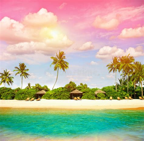 Tropical Beach With Sunset Sky Paradise Island Stock