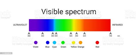 Visible Spectrum Light Infographic Of Sunlight Wavelength Vector Stock
