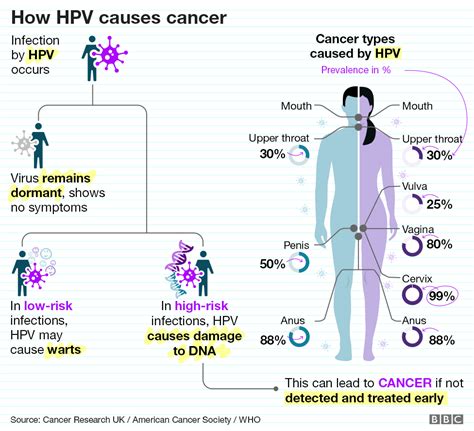 Hpv Skin Cancer