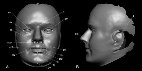 a 3d facial surface model showing the 24 standard landmarks included in download scientific