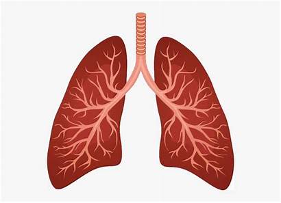 Respiratory Clipart System Lungs Lung Emoji Webstockreview