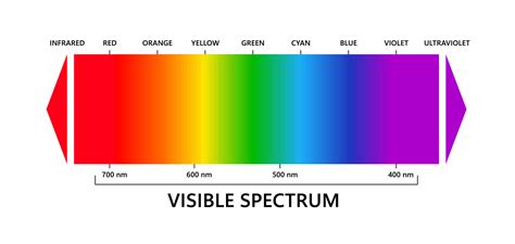 Visible Light Spectrum Infared And Ultraviolet Electromagnetic