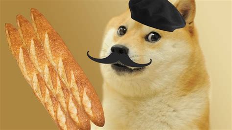 In response, the single topic blog your daily doge17 was created, but was quickly abandoned after reblogging leonsumbitches' post. Doge French Google Translate Meme - YouTube