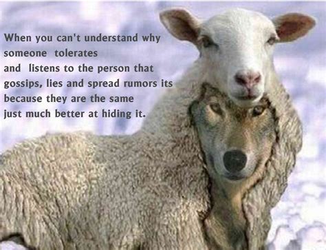 So True Sheep Clothing Manipulative People Sheep