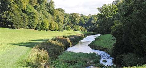 The historic county of yorkshire, with its rolling landscape of plush green dales and windswept hills, offers the ideal short break getaway. Yorkshire Cottage Holidays from under £235 per week ...