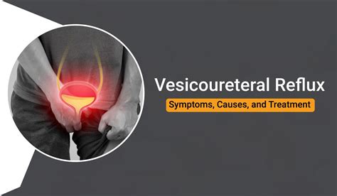 vesicoureteral reflux symptoms causes and treatment