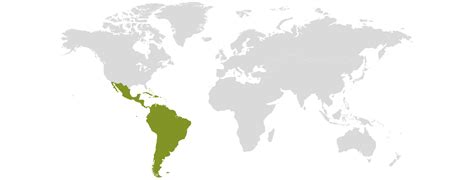 Latin America And Caribbean Where We Operate Diageo