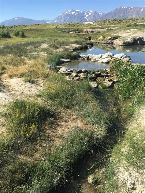 Maybe you would like to learn more about one of these? Camped at Wild Willy's Hot Springs near Mammoth Lakes ...