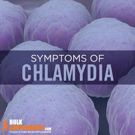 Chlamydia Characteristics Causes Treatment