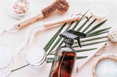 Green Cleaning: 8 Major Reasons to Use Eco-Friendly Products | AnnMarie