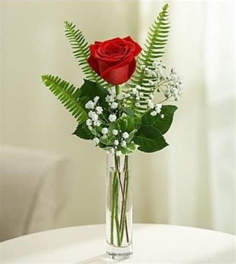One Single Perfect Red Rose In A Vase With Acce Paoli Pa Florist