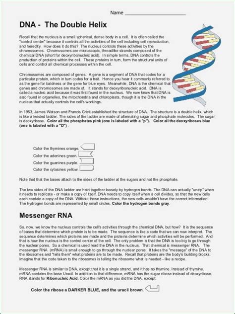 Dna mutations practice answer key worksheets printable dna mutation dna, or deoxyribonucleic acid, is a biomolecule, which serves as the blueprint of living organisms. 50 Dna Mutation Practice Worksheet Answers | Chessmuseum ...