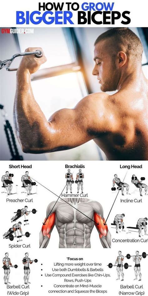 Pin By Henry Devargas On Exercise In 2020 Gym Workout Tips Biceps