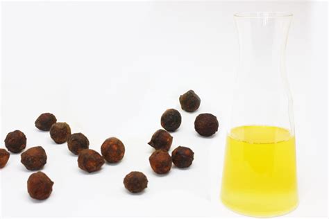 Ximenia Oil