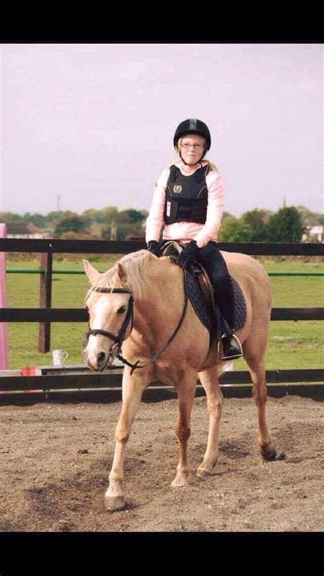 Goldie 131 Hh Cliffhollins Riding School And Pony Club Centre