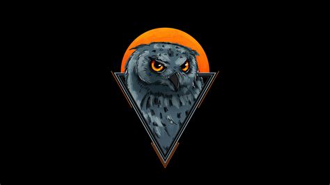 4k Owl Wallpapers Top Free 4k Owl Backgrounds Wallpaperaccess