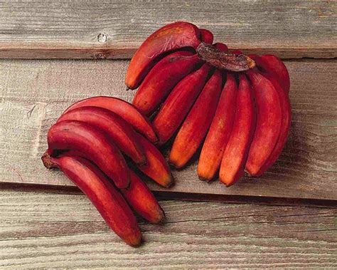 6 Miraculous Health Benefits Of Red Bananas You Never Knew