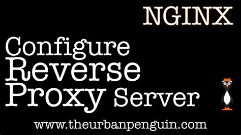 Nginx Reverse Proxy Youtube