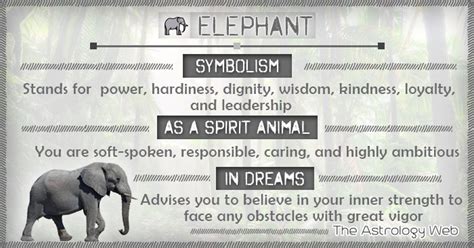 Elephant Meaning And Symbolism The Astrology Web