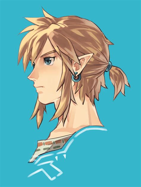 Pin By Spyro On Link Legend Of Zelda Breath Legend Of Zelda Zelda Art