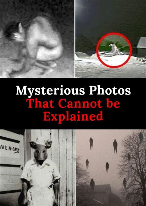 Mysterious Photos That Cannot be Explained | Best nature images, Weird ...