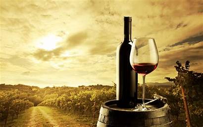 Vino Hablemos Wine Vineyard Fitnessreal