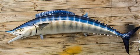 Wahoo 55 inch left Full Mount fiberglass fish replica ...