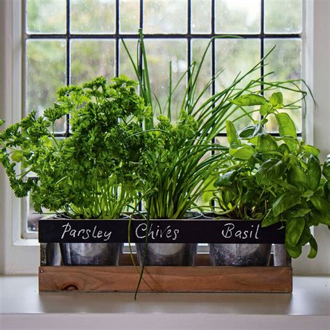 The herbs you use the most will be the ones that work best in your kitchen garden. Eight gorgeous buys for the kitchen - AOL