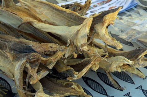 Dried Stockfish Stock Image Image Of Selection Surface 20317251