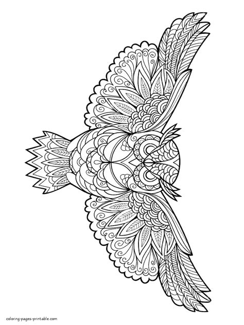 Adult Coloring Pages Of Birds Coloring Pages