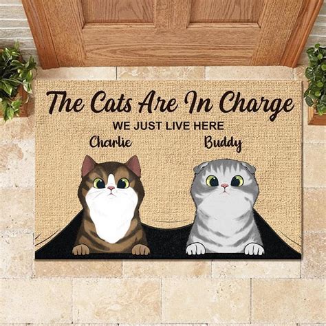 Cat Doormat Custom Cat Doormat Outdoor Rug Cute Door Mat Etsy