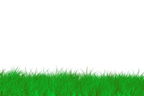 Grass Background Clip Art Library