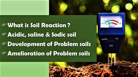 Soil Reaction Acidic Saline And Sodic Soil Problem Soil