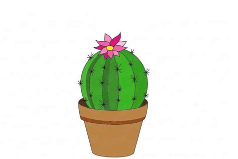 Cactus Drawing Simple Easy Realistic And With Flower