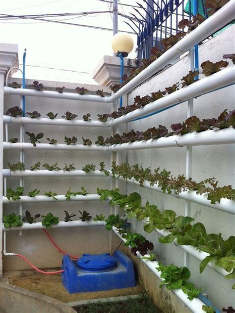 40 Inspiring Vertical Garden Ideas For Small Space