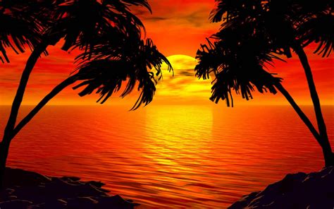 Paradise Sunset Tropical Island Palm Sea Red Sky Hd Wallpaper 2560x1600 ...