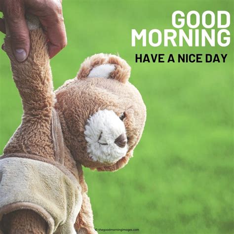 Unsurprisingly people start their day with conversation in the morning all around the teddy bear. 120+ Sweet Good Morning Teddy Bear Images | A To Z