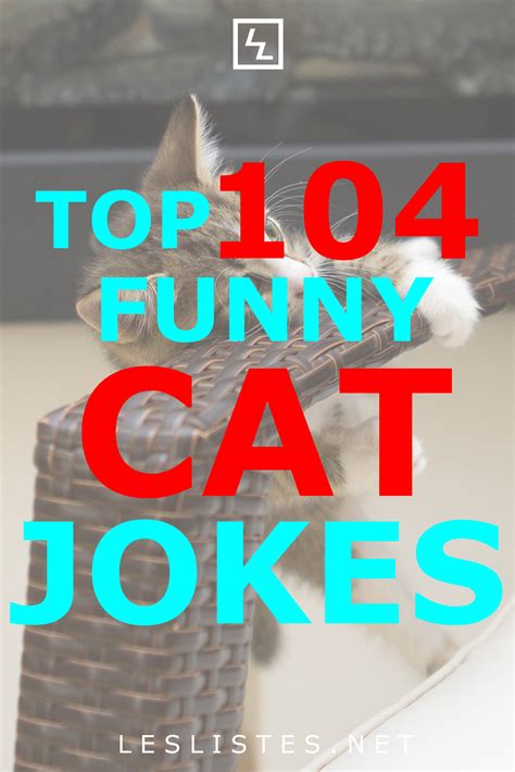 Funny Cat Jokes Cat Memes Funny Cats Funny Things Funny Stuff