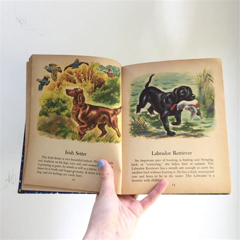 Vintage 1950s Book Dogs Vintage Childrens Dog Book Mid