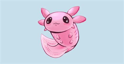 May 29, 2020 · original resolution: Pink Axolotl - Axolotl Friend Awesome Gift - Sticker ...
