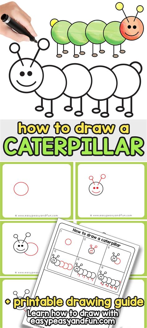 How To Draw A Caterpillar Step By Step Guide For Kids And Beginners