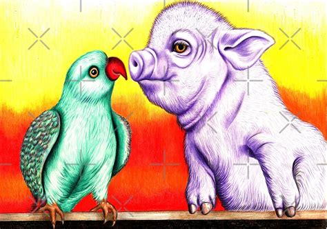 Pig N Parrot By Margaret Sanderson Redbubble