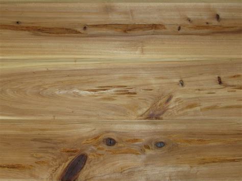 Pecky Cypress Tandg Paneling Capitol City Lumber