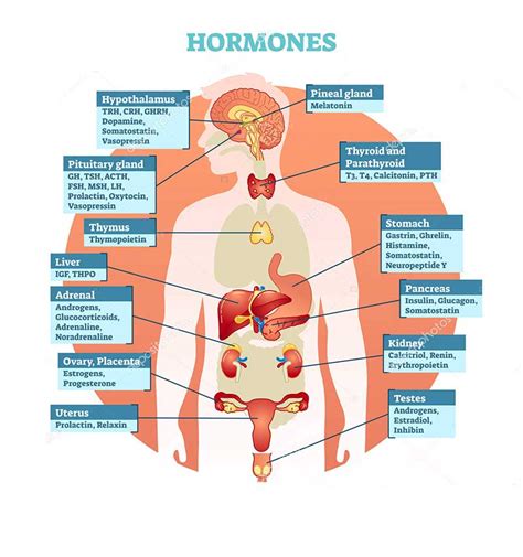 bioidentical hormone replacement therapy healthyme miami