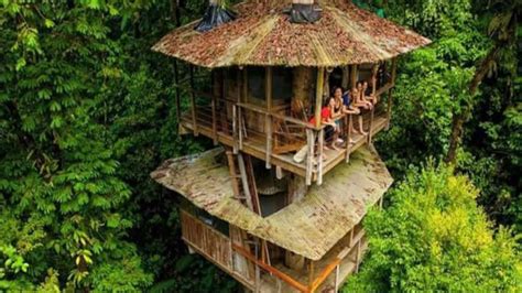 Costa Rica Tree House Change Comin