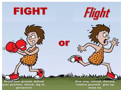 What does fight or flight expression mean? Fight or Flight? | SiOWfa16: Science in Our World ...