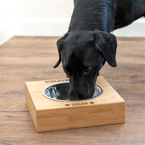 Personalised Worlds Best Dog Large Pet Bowl By Mirrorin